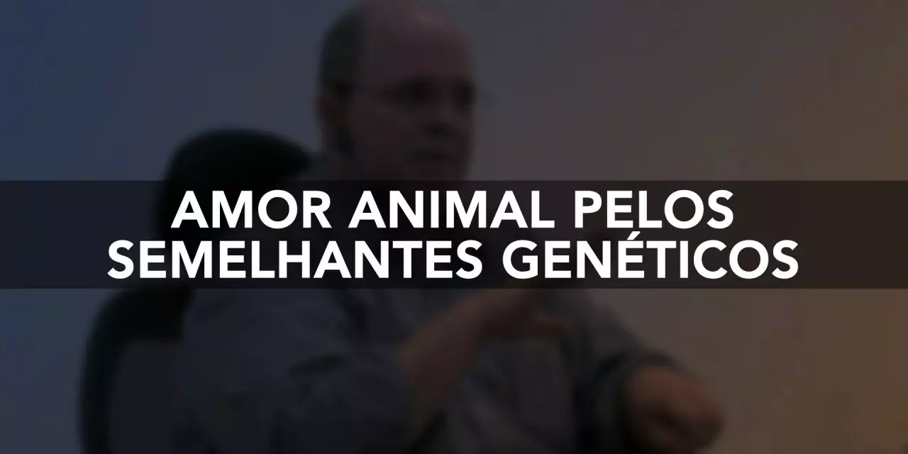 Amor animal pelos semelhantes genéticos.
