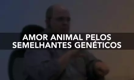 Amor animal pelos semelhantes genéticos.