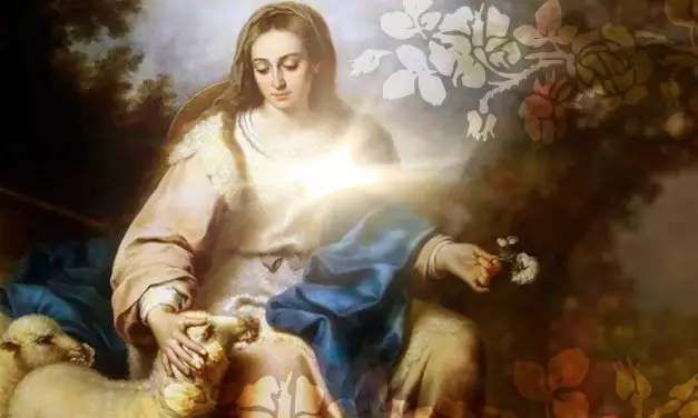 Sublime Encontro em feérico caramanchão…