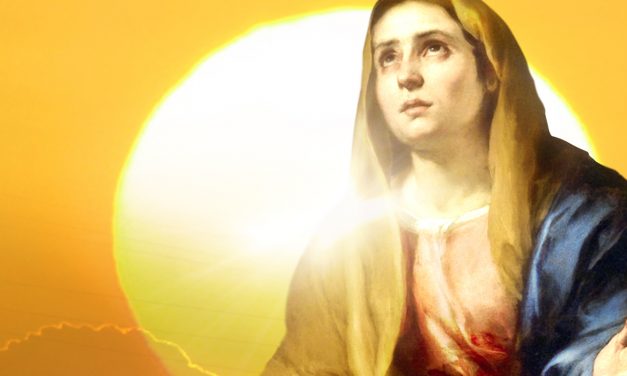 Mais uma Visita da Mulher-Sol