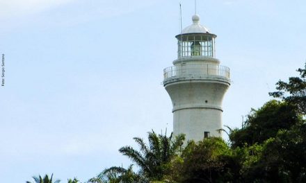 Mente, alma e espírito, em declínio ou ascensão do ser