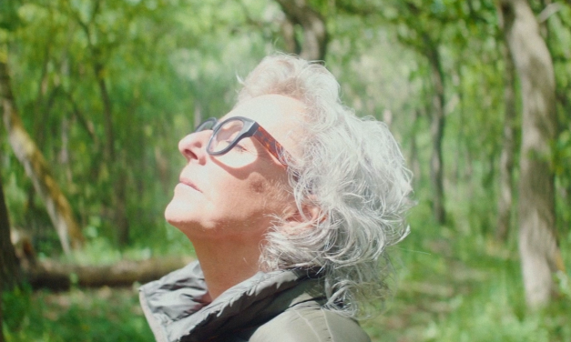 Trilha para o inferno vs. vereda para o Paraíso… (videomensagem – trecho 2)