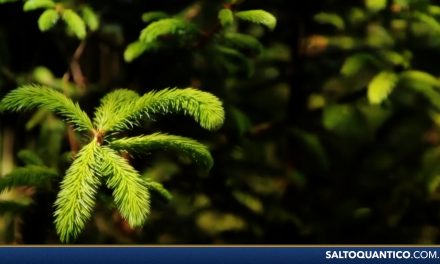 Natal – o Cristo-bebê, o frio do deserto, o horror do estábulo…