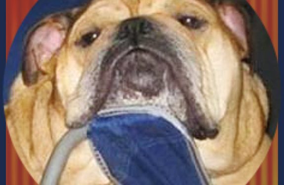 Torpor nos Feriados Prolongados.