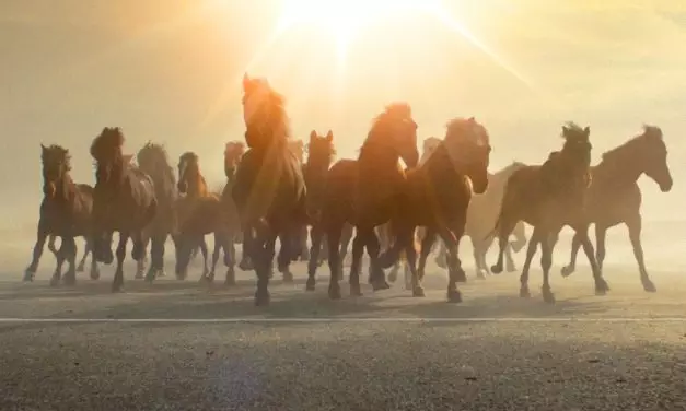 Agressividade segundo os Cristos de Deus (videomensagem – trecho 1)