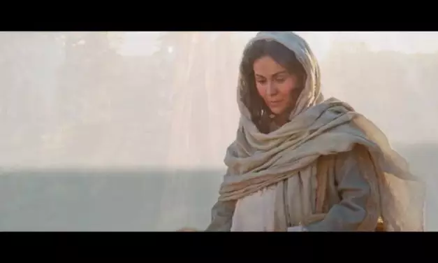 Caminhos para a Vida