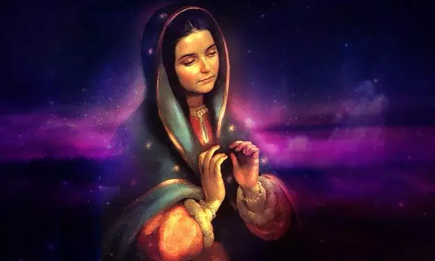 Convocação à responsabilidade pela salvação do planeta