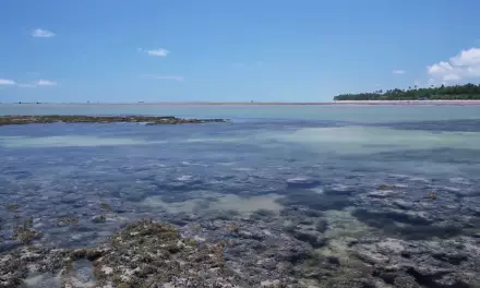 Trafegando no majestoso oceano da fé.