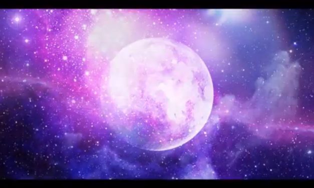 Dedicação ao essencial.