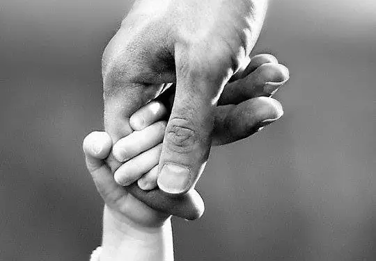 Diversidade evolutiva na Terra