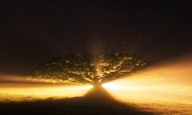 Fonte de toda graça (videomensagem)