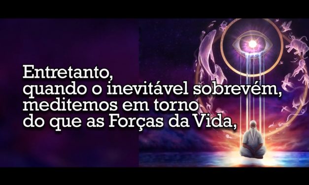 O inevitável e lições subjacentes – videomensagem.