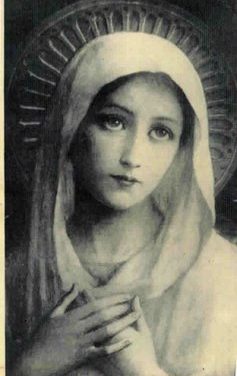 Amor de Deus por cada criatura