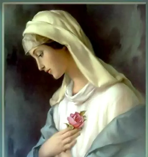 Sentimento e destino